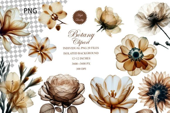 Elegant Beige Botanical Clipart for Timeless Design