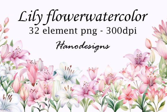 Elevate Designs with Lily Flower Watercolor Art
